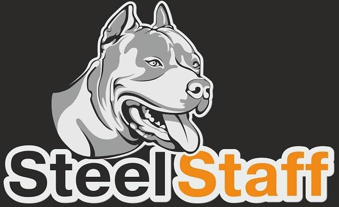 логотип Steel Staff