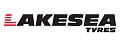 логотип LAKESEA